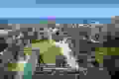 bt-384p-6