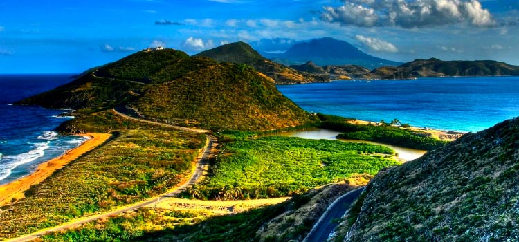 LLC in Nevis with a bank account