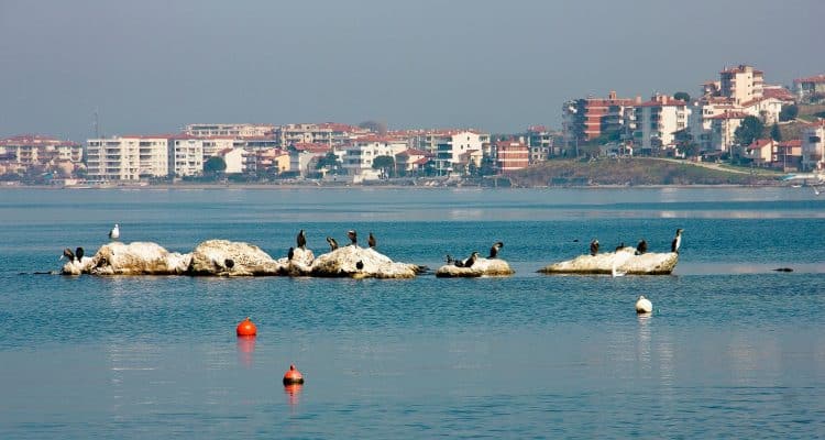 Yalova 