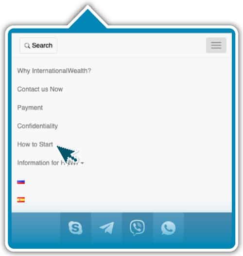 Top menu - mobile version