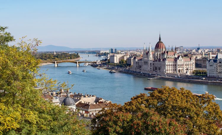 
Company in Hungary