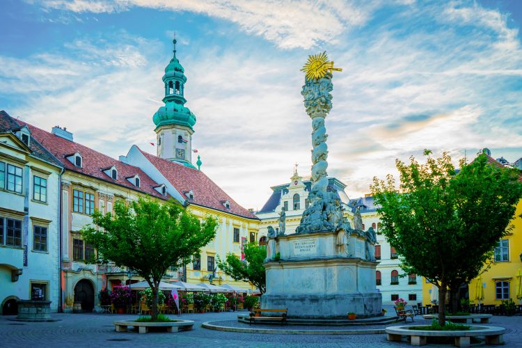 Company in Hungary