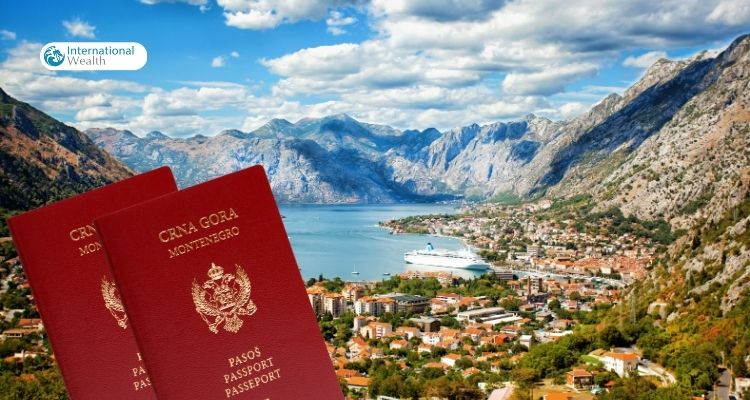 Montenegrin citizenship