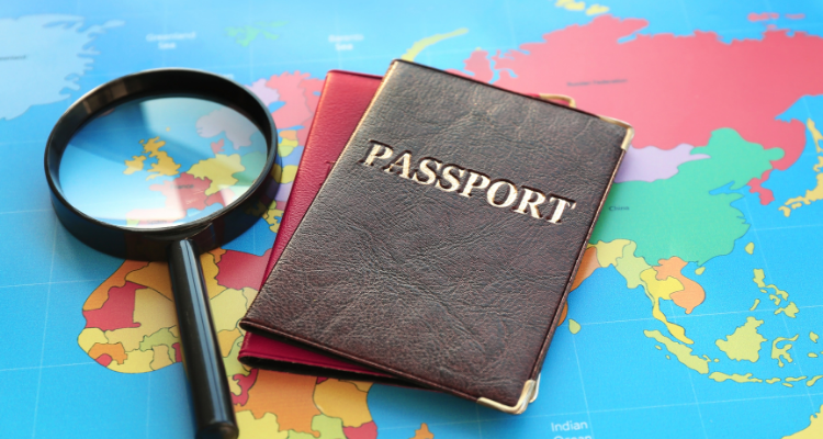 Immigration - image