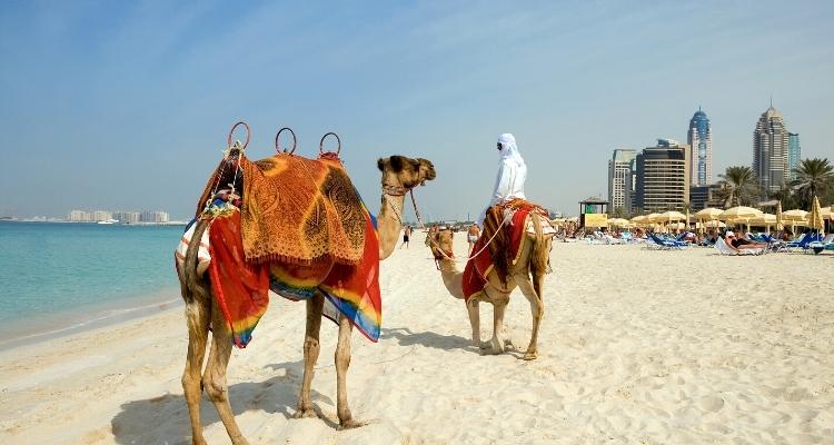 Live in Dubai