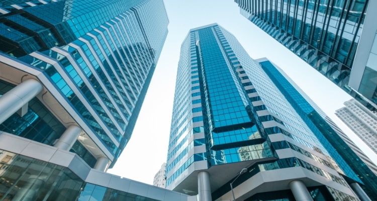 Qué tipo de estructura empresarial