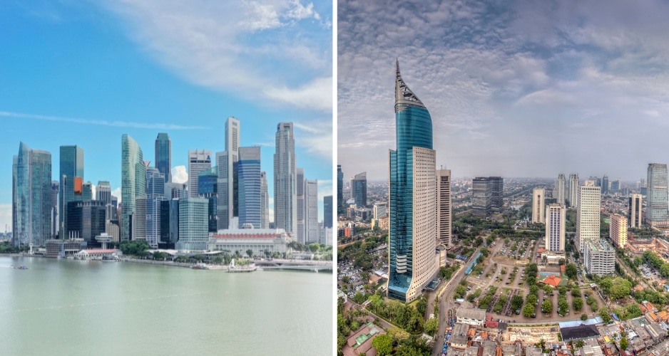 Business in Singapore or Indonesia